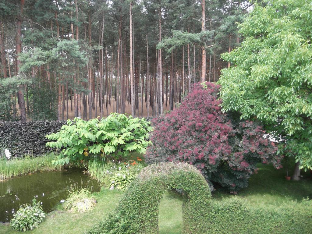 Amselgarten Люббен Экстерьер фото
