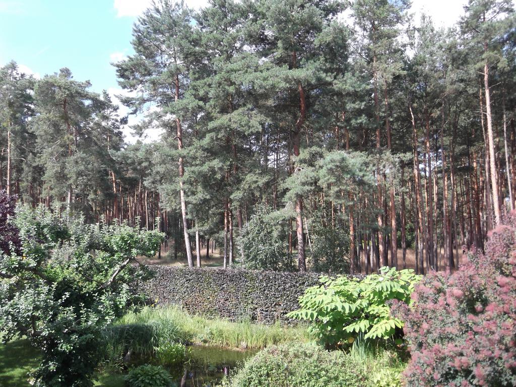 Amselgarten Люббен Экстерьер фото