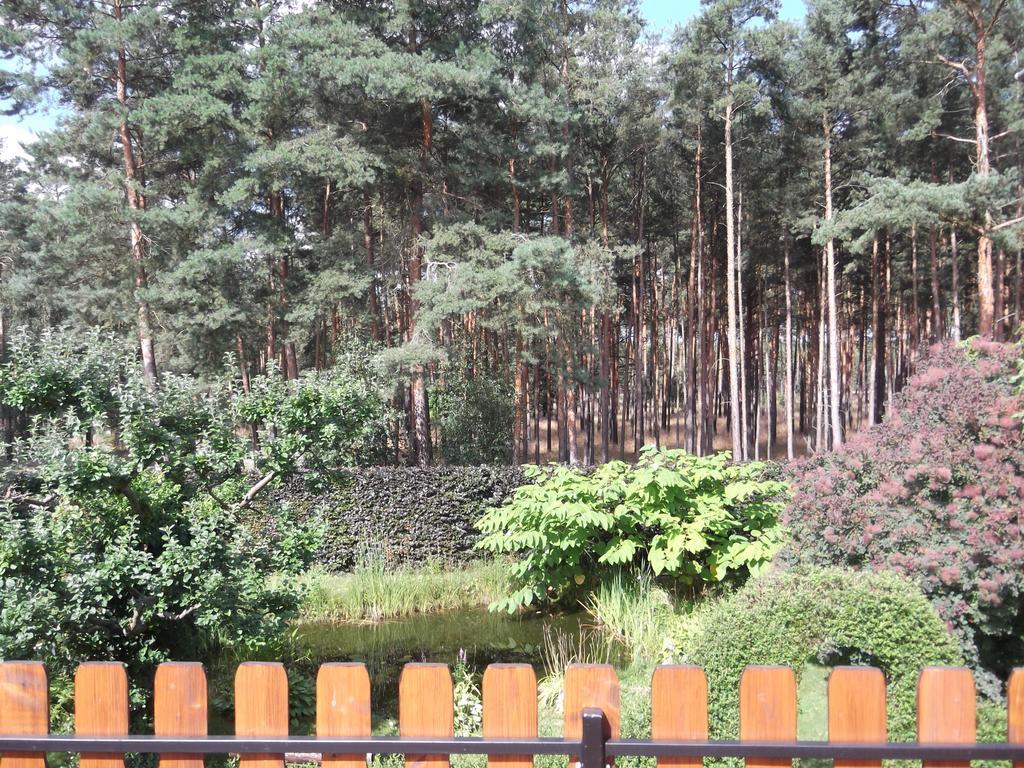 Amselgarten Люббен Экстерьер фото